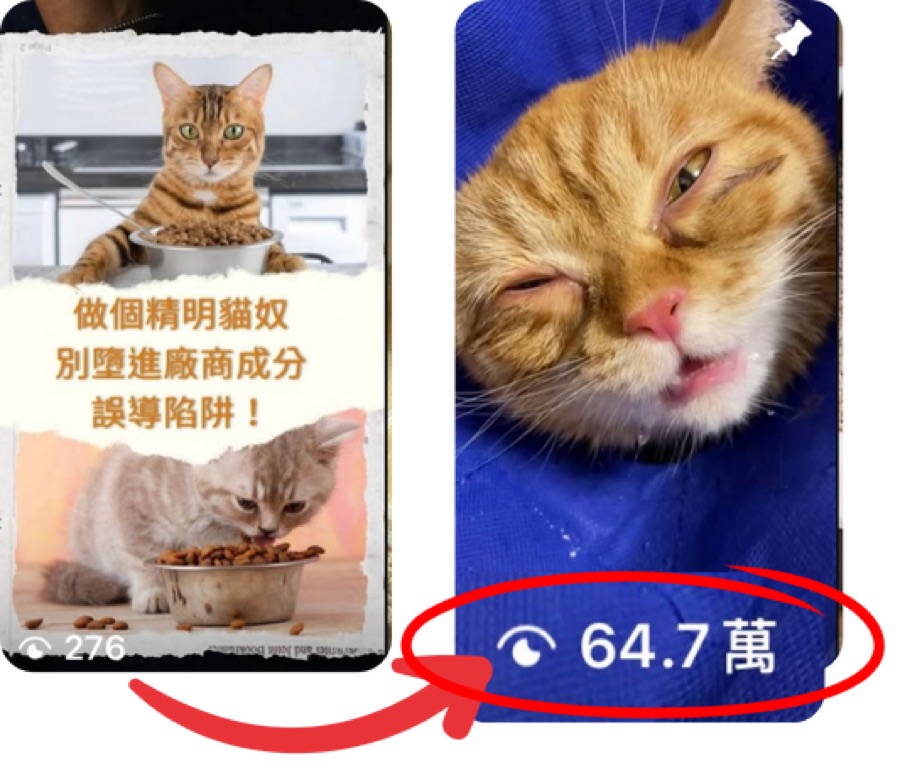 學生 Jacka 嘅影片觀看數由 276 升到 64.7 萬